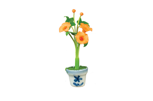 Morning Glories in Pot, Orange